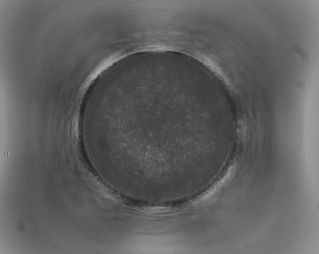 X0000115741173200911121531
