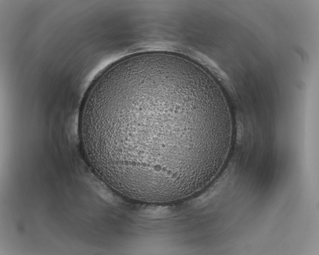 X0000115741174200911121531