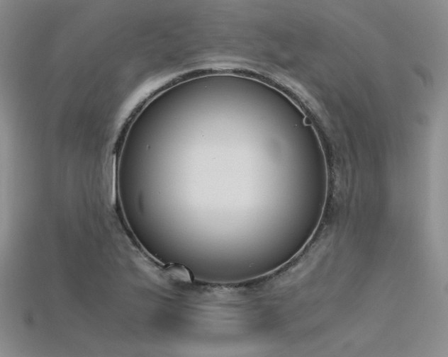 X0000115741175200911121531