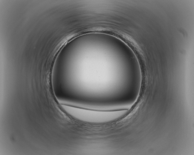 X0000115741177200911121531