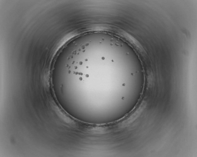 X0000115741178200911121531