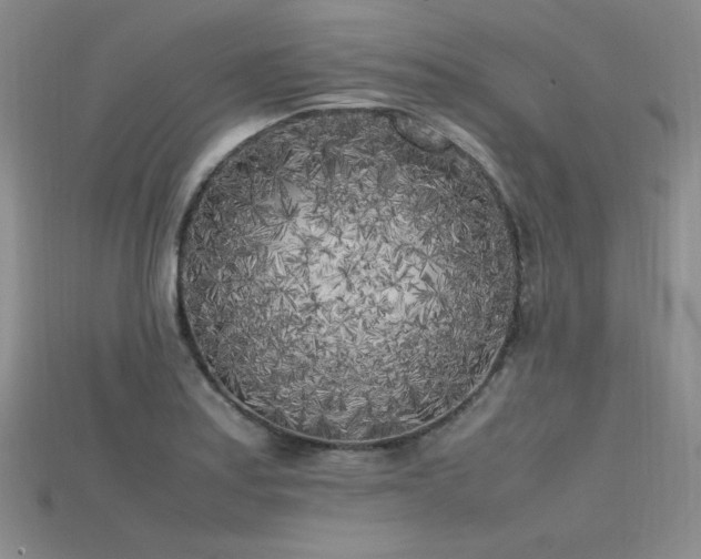 X0000115741179200911121531