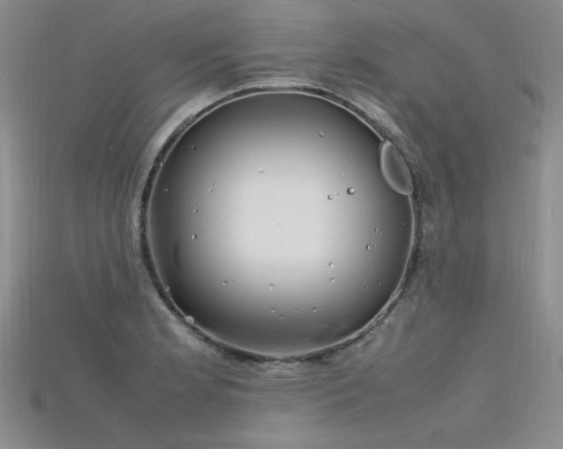 X0000115741181200911121531