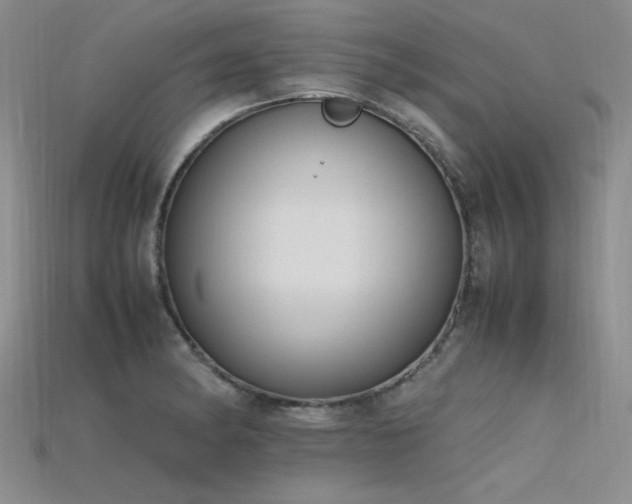 X0000115741182200911121531