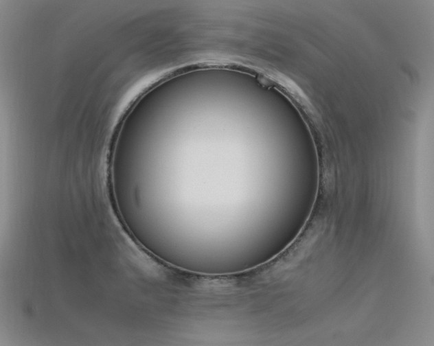 X0000115741183200911121531