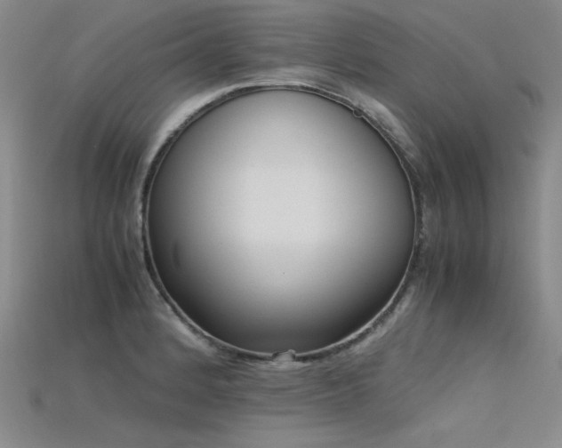 X0000115741184200911121531