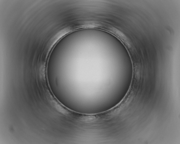 X0000115741186200911121531