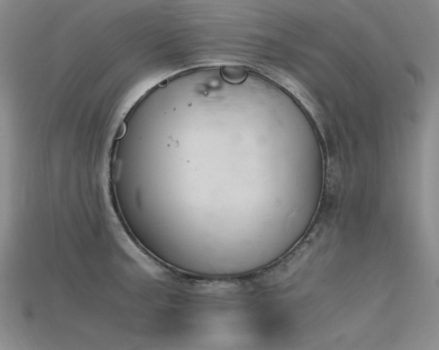 X0000115741187200911121531