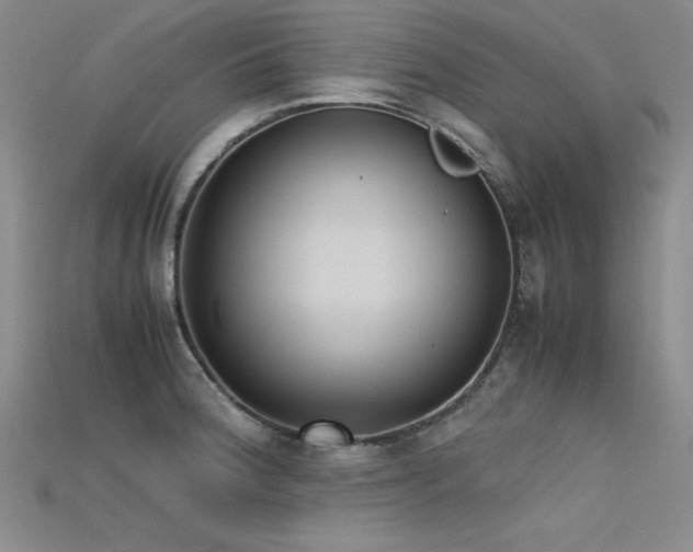 X0000115741188200911121531