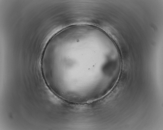 X0000115741189200911121531