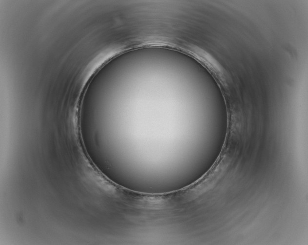 X0000115741190200911121531