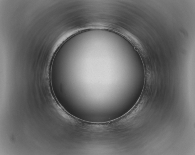 X0000115741192200911121531