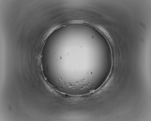 X0000115741193200911121531
