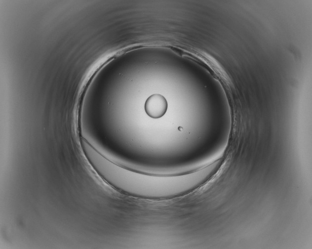 X0000115741196200911121531