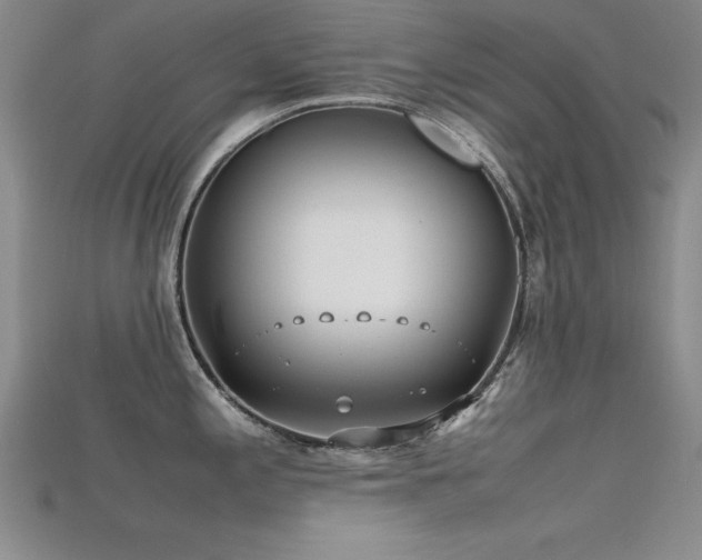 X0000115741197200911121531