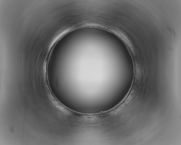 X0000115741198200911121531