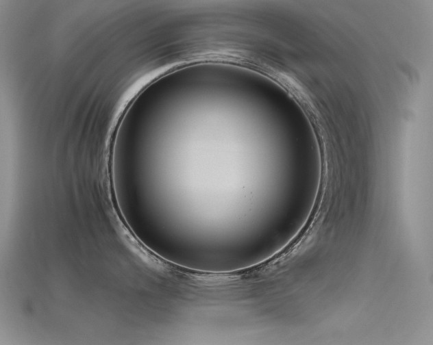 X0000115741200200911121531