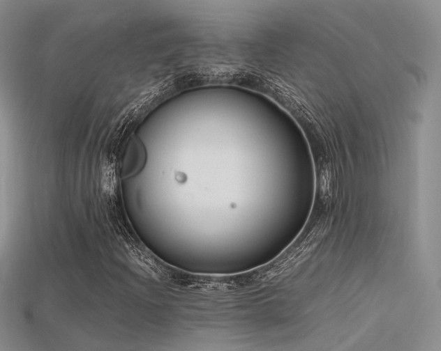 X0000115741204200911121530