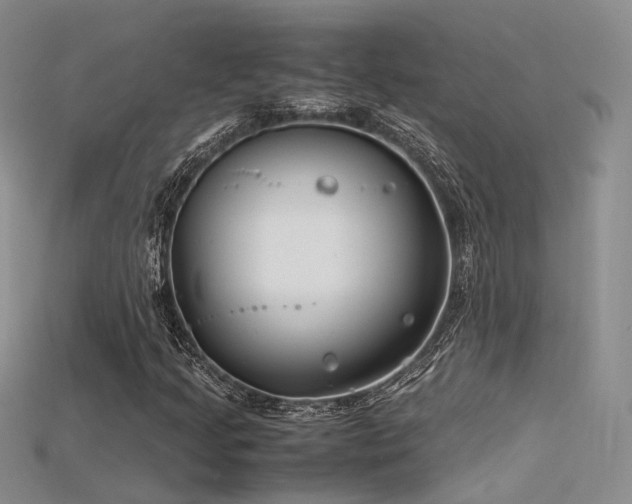 X0000115741205200911121530
