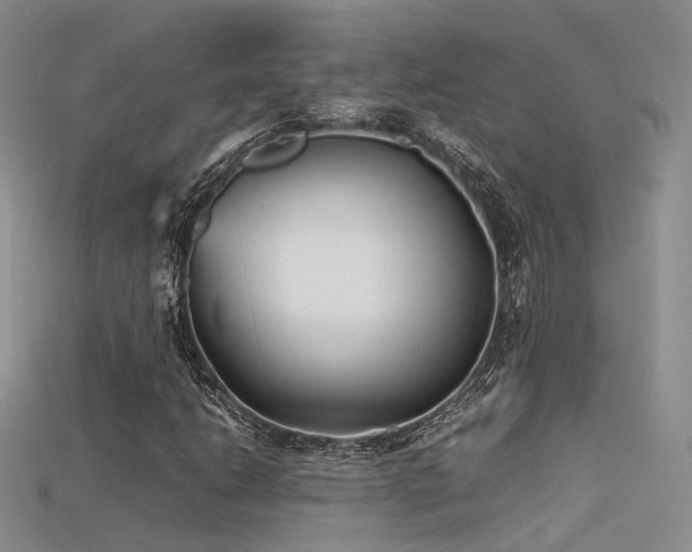 X0000115741206200911121530