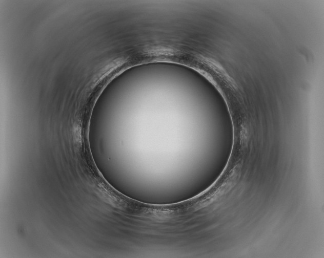 X0000115741209200911121530