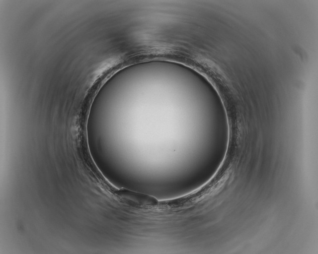 X0000115741210200911121530