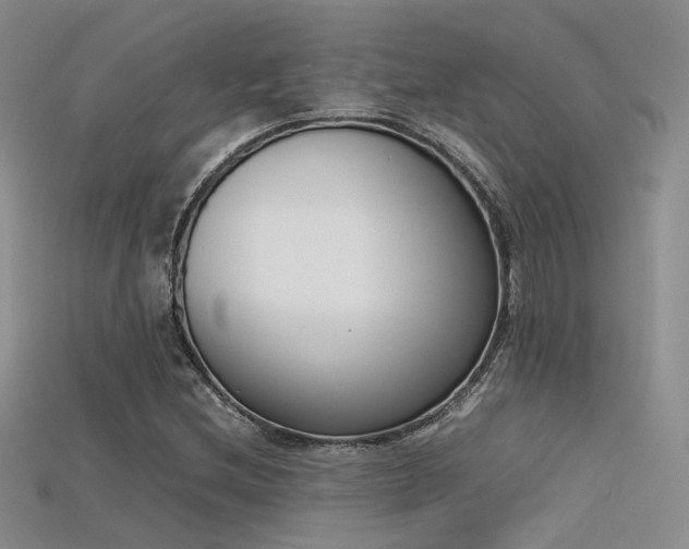 X0000115741212200911121530