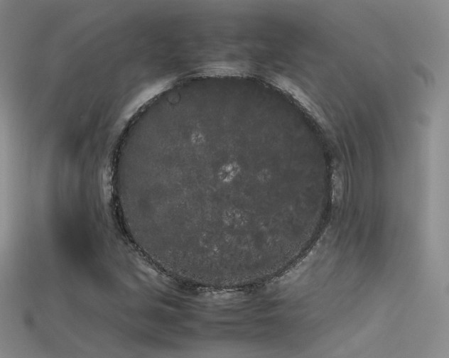 X0000115741213200911121530