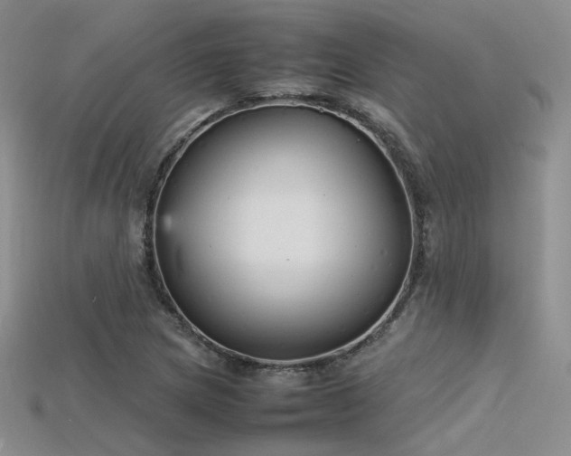 X0000115741217200911121530
