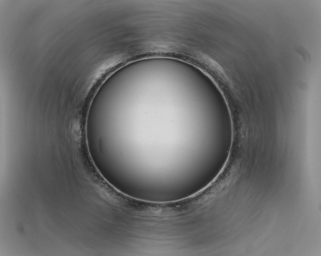 X0000115741218200911121530