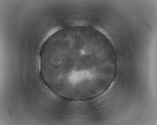 X0000115741219200911121530