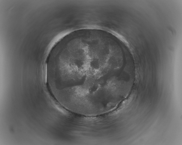 X0000115741223200911121531