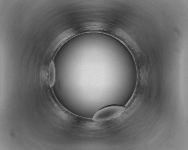 X0000115741225200911121531