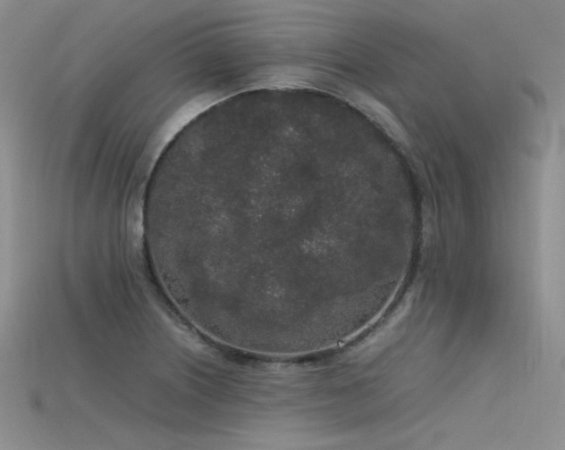 X0000115741226200911121531