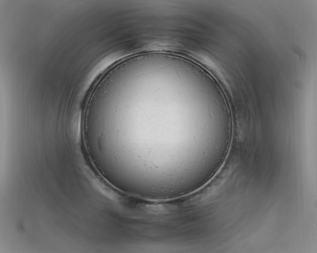 X0000115741227200911121531