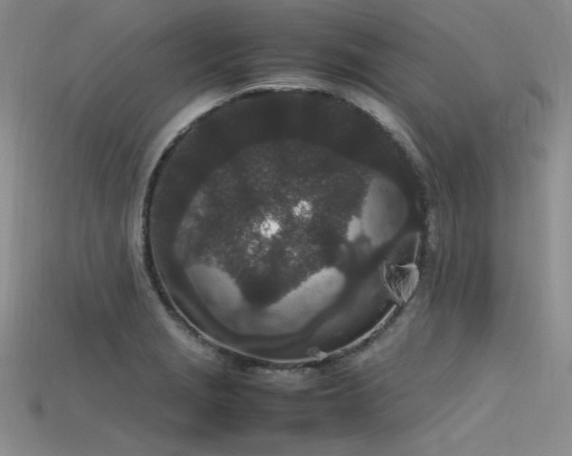 X0000115741229200911121531