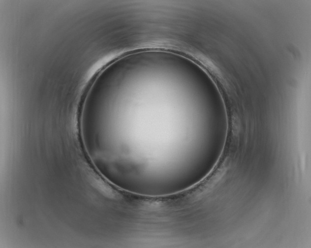 X0000115741230200911121531