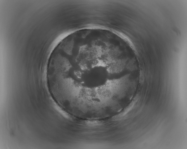 X0000115741231200911121531