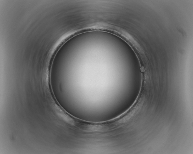 X0000115741232200911121531