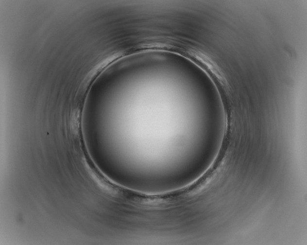 X0000115741233200911121531