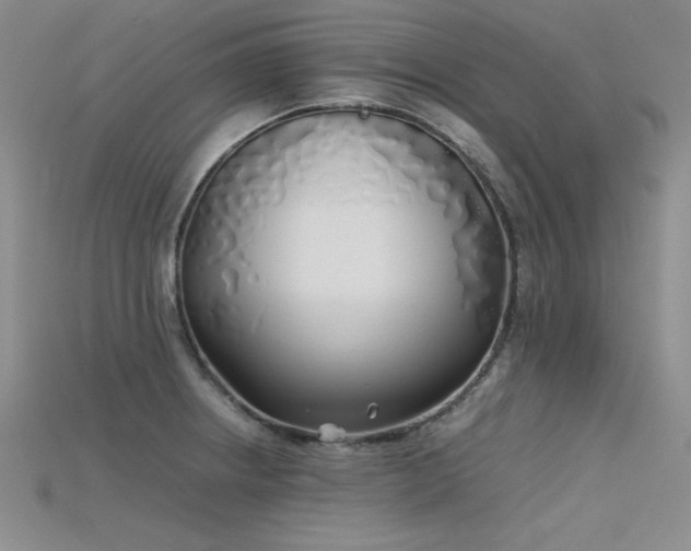 X0000115741234200911121531