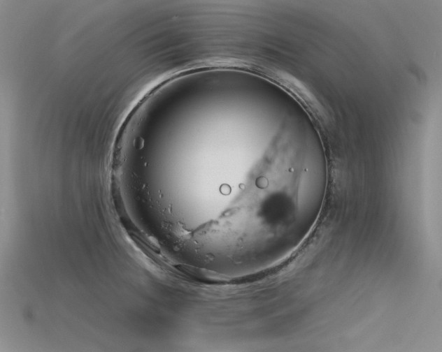 X0000115741236200911121531