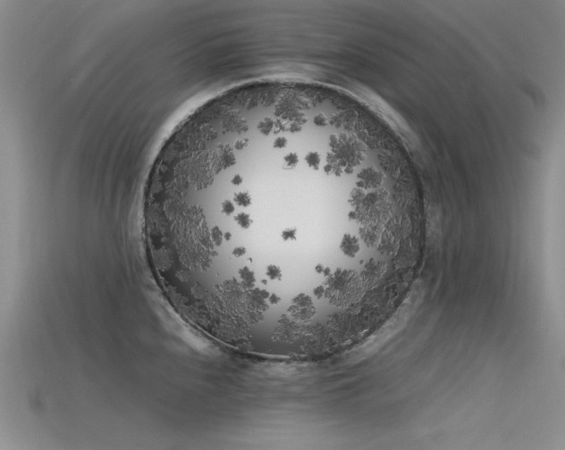 X0000115741240200911121531