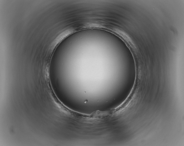 X0000115741241200911121531