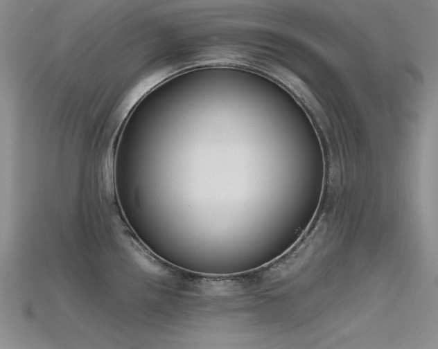 X0000115741242200911121531