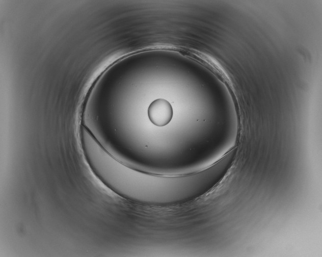 X0000115741243200911121531