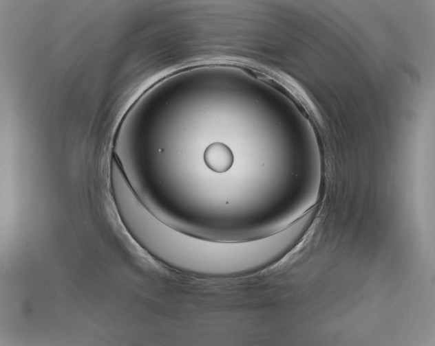 X0000115741244200911121531