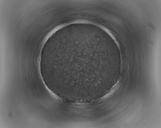X0000115741245200911121531