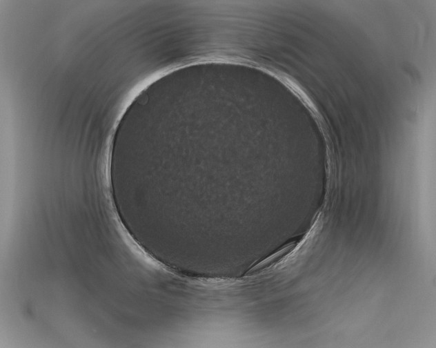X0000115741246200911121531