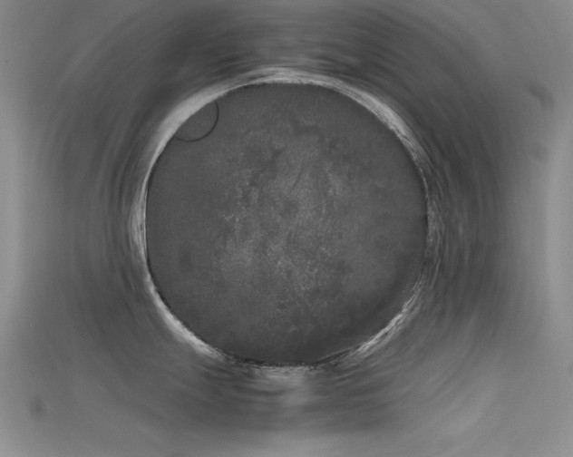 X0000115741247200911121531